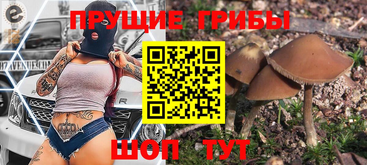 Холмск  Галлюциногенные грибы мухоморы  Галлюциногенные грибы Cubensis  Вход с VPN 